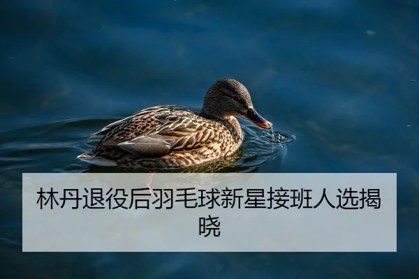 林丹退役后羽毛球新星接班人选揭晓